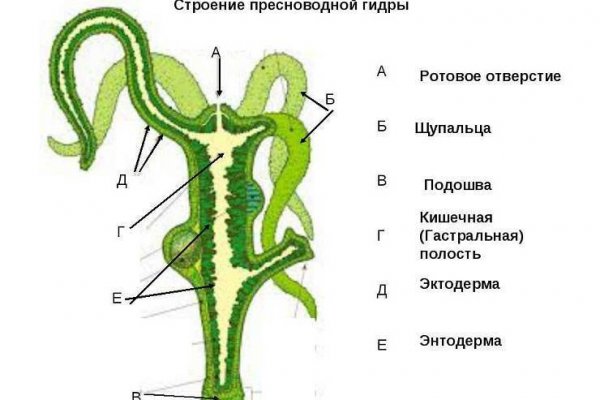 Кракен найдется все что это